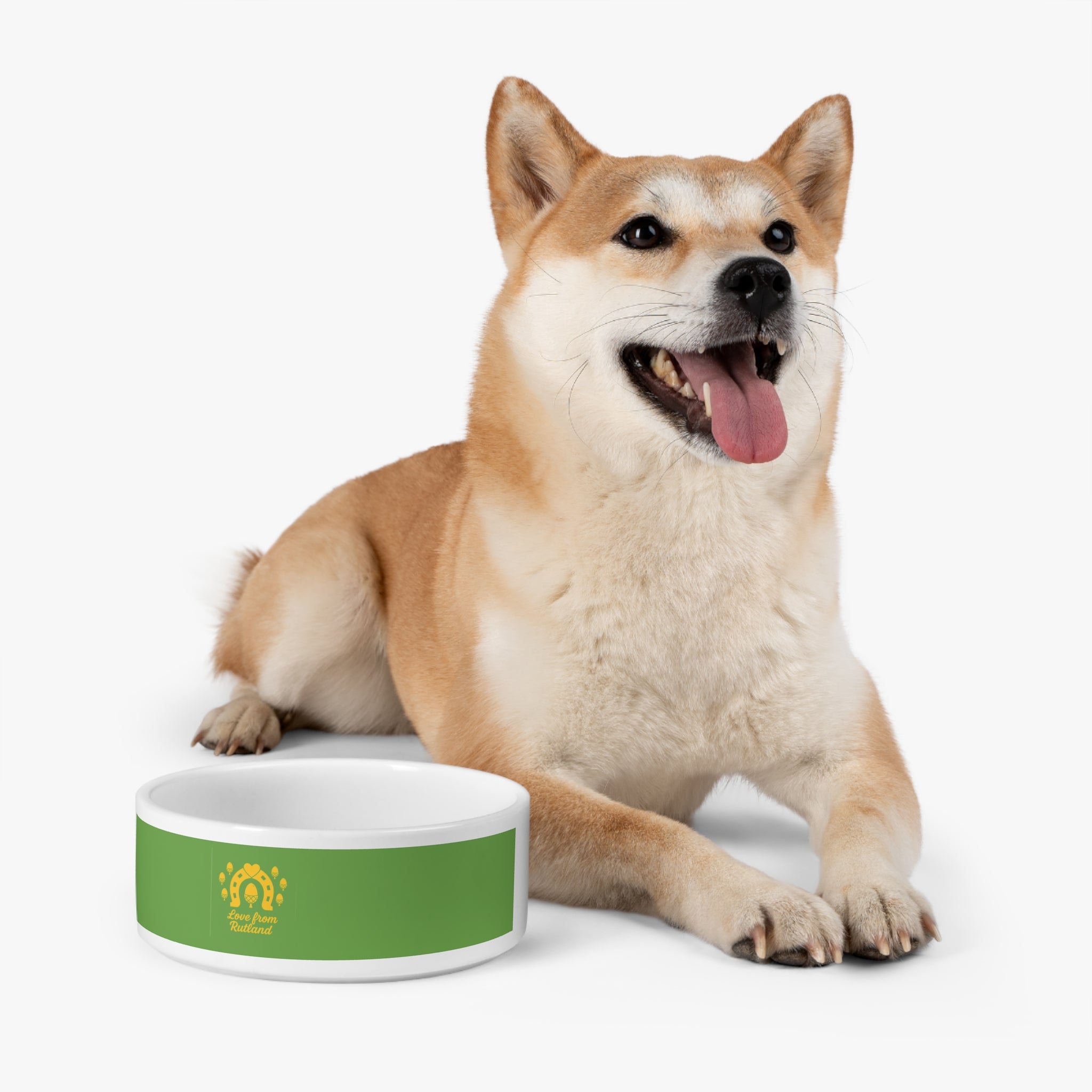 Classic Logo Pet Bowl - Dog Food Dish & Cat Bowl