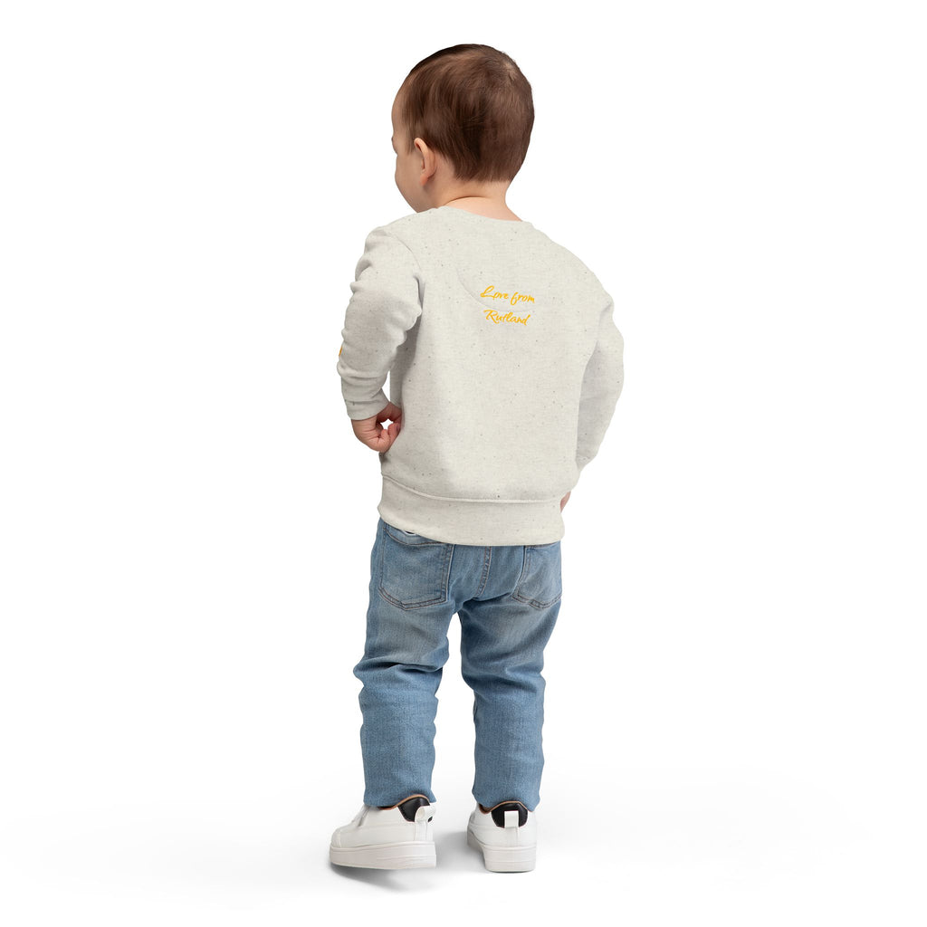 Heart & Horseshoe Toddler Sweatshirt
