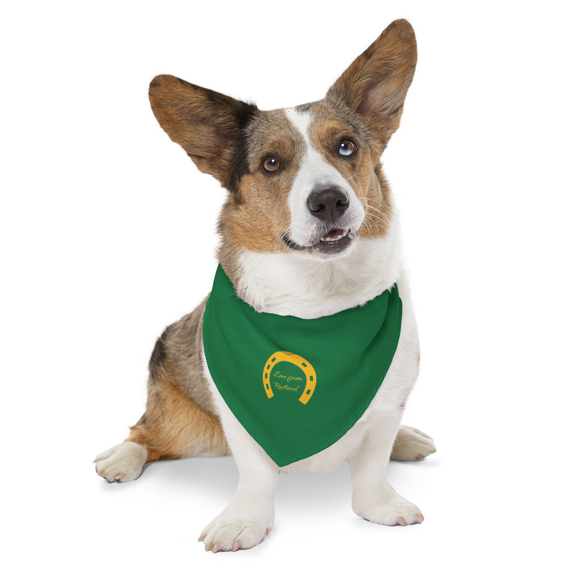 Classic Logo Pet Bandana Collar - Stylish Accessory for Dogs