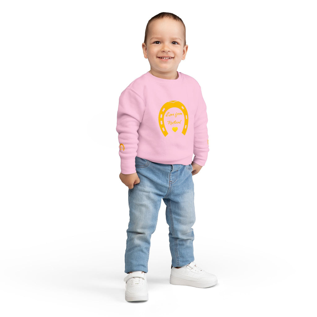 Heart & Horseshoe Toddler Sweatshirt