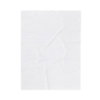 Classic Logo Velveteen Plush Blanket