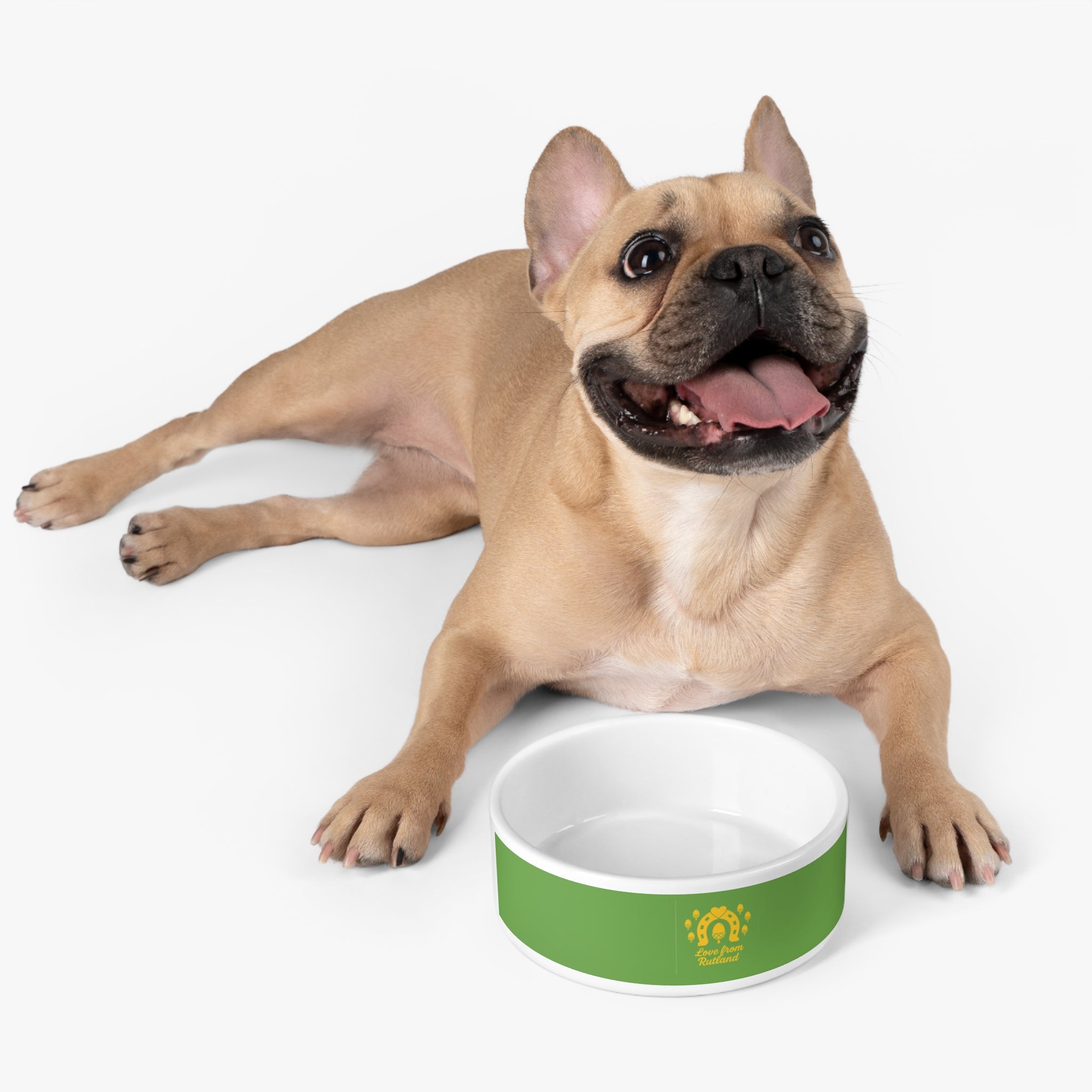 Classic Logo Pet Bowl - Dog Food Dish & Cat Bowl